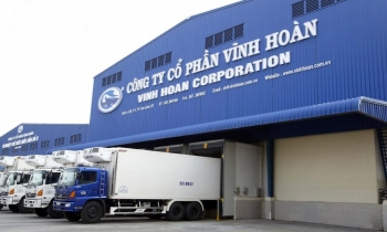 Con gái Chủ tịch Vĩnh Hoàn chi hơn 320 tỷ đồng mua cổ phiếu VHC