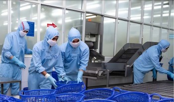 Sao Ta về đích lợi nhuận năm 2025