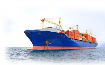 Một doanh nghiệp vận tải biển sắp chia cổ tức tiền mặt tỷ lệ 92,5%