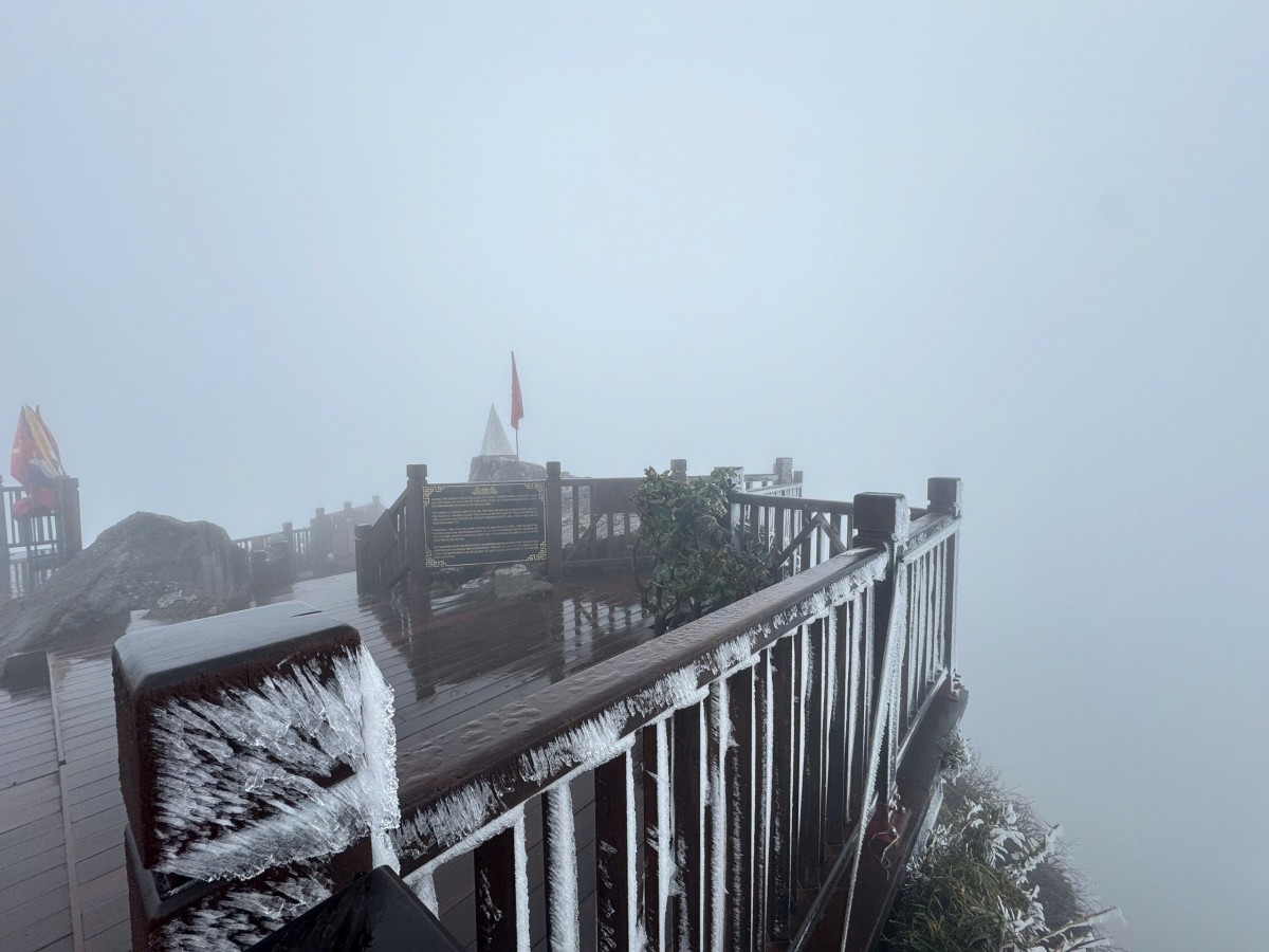 Băng tuyết đã phủ trắng nhiều khu vực trên đỉnh núi, cây cối, lan can và các hạng mục công trình trên đỉnh Fansipan. Ảnh: Sungroup.