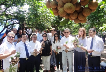 Tri thức trồng, chế biến nhãn lồng Hưng Yên là di sản văn hóa phi vật thể quốc gia