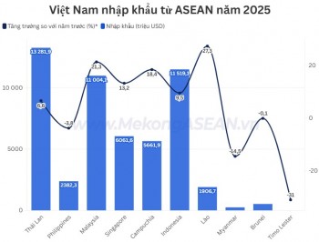 Nhập khẩu hàng hóa từ ASEAN tăng 12% năm 2025