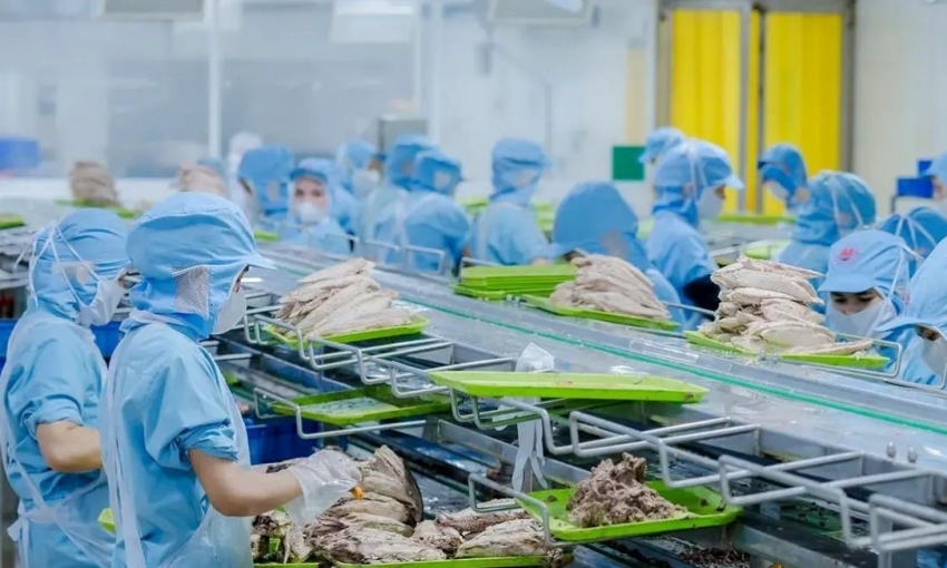 Đồ hộp Hạ Long lên tiếng về việc kho hàng có thịt lợn nhiễm bệnh