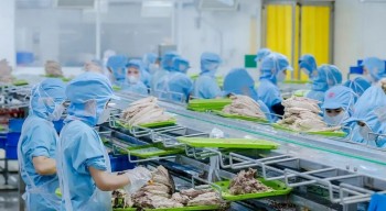 Đồ hộp Hạ Long lên tiếng về việc kho hàng có thịt lợn nhiễm bệnh