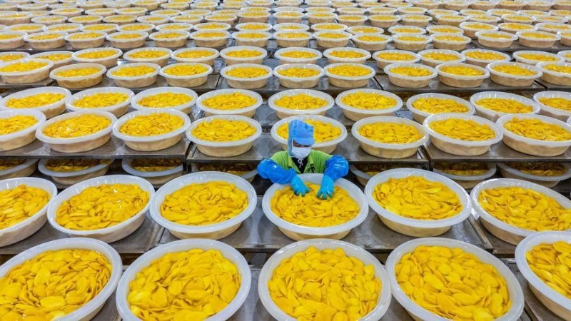 Kim ngạch thương mại Campuchia - RCEP cao kỷ lục trong năm 2025