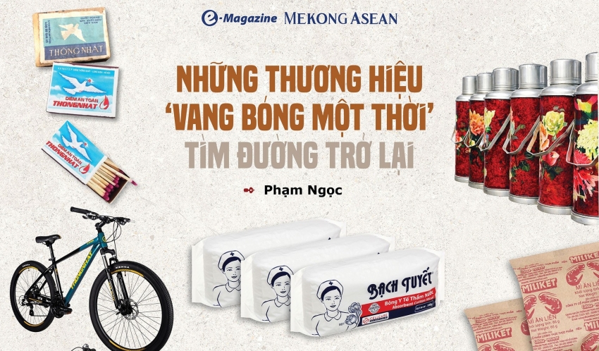 Những thương hiệu 