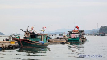 Thành lập đoàn kiểm tra liên ngành chống IUU