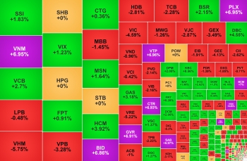 VN-Index thoái lui, cổ phiếu doanh nghiệp có vốn Nhà nước đua trần