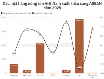 Nông sản Việt tăng tốc xuất khẩu sang ASEAN trong năm 2025
