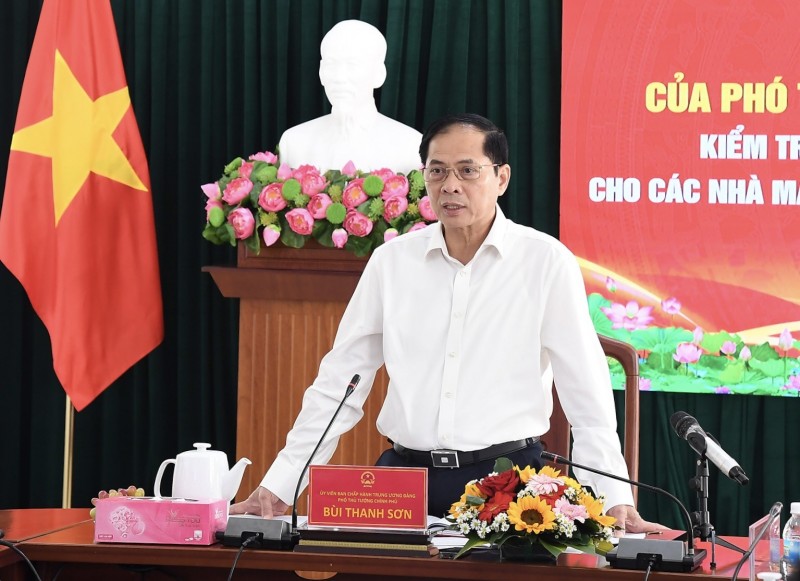 Phó Thủ tướng nhấn mạnh công tác giải phóng mặt bằng đóng vai trò then chốt, quyết định việc triển khai các bước tiếp theo của Dự án điện hạt nhân Ninh Thuận - Ảnh: VGP/Hải Minh