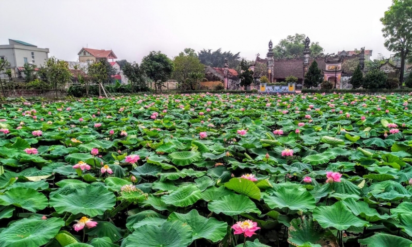 Hà Nội giao 4,2 ha đất gần khu đô thị Olympic cho Ngọc Tín Holdings