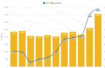 Cảng Hải Phòng lập đỉnh lợi nhuận năm 2025