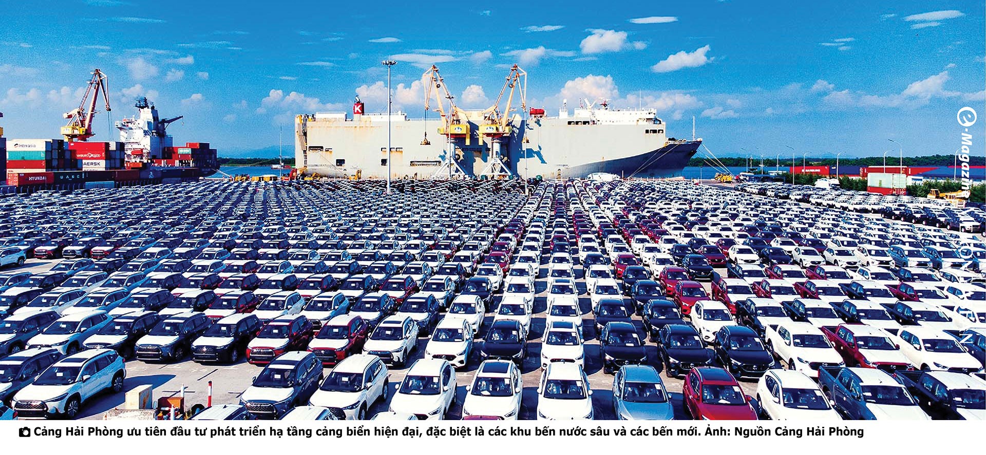 (Bài Tết) Tổng giám đốc Cảng Hải Phòng: ‘Vị thế thị phần không chỉ đơn thuần đo bằng con số’