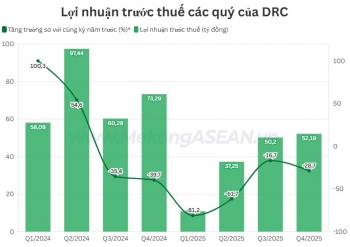 Cao su Đà Nẵng: Doanh thu tiếp đà tăng nhưng lợi nhuận giảm quý thứ 6 liên tiếp