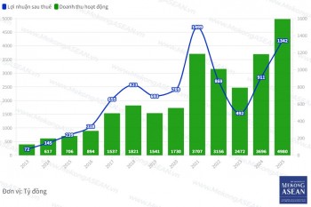 Hai cổ phiếu mang lại mức sinh lời cao nhất cho Vietcap
