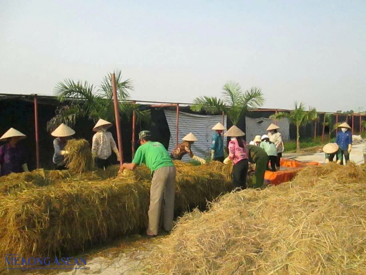 Nông nghiệp tuần hoàn phát thải thấp: Từ phụ phẩm đến chuỗi giá trị rơm rạ Tái định vị rơm rạ trong chuỗi giá trị nông nghiệp tuần hoàn