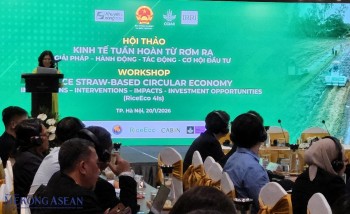 Tái định vị rơm rạ trong chuỗi giá trị nông nghiệp tuần hoàn
