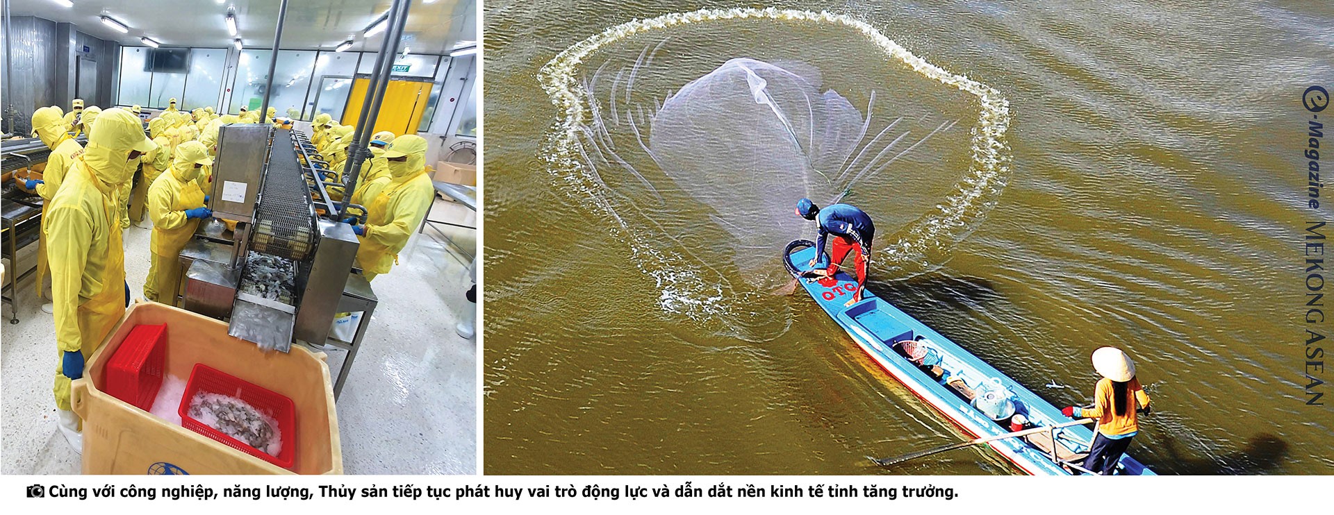 Cà Mau: Từ địa đầu Tổ quốc đến cửa ngõ ra biển lớn