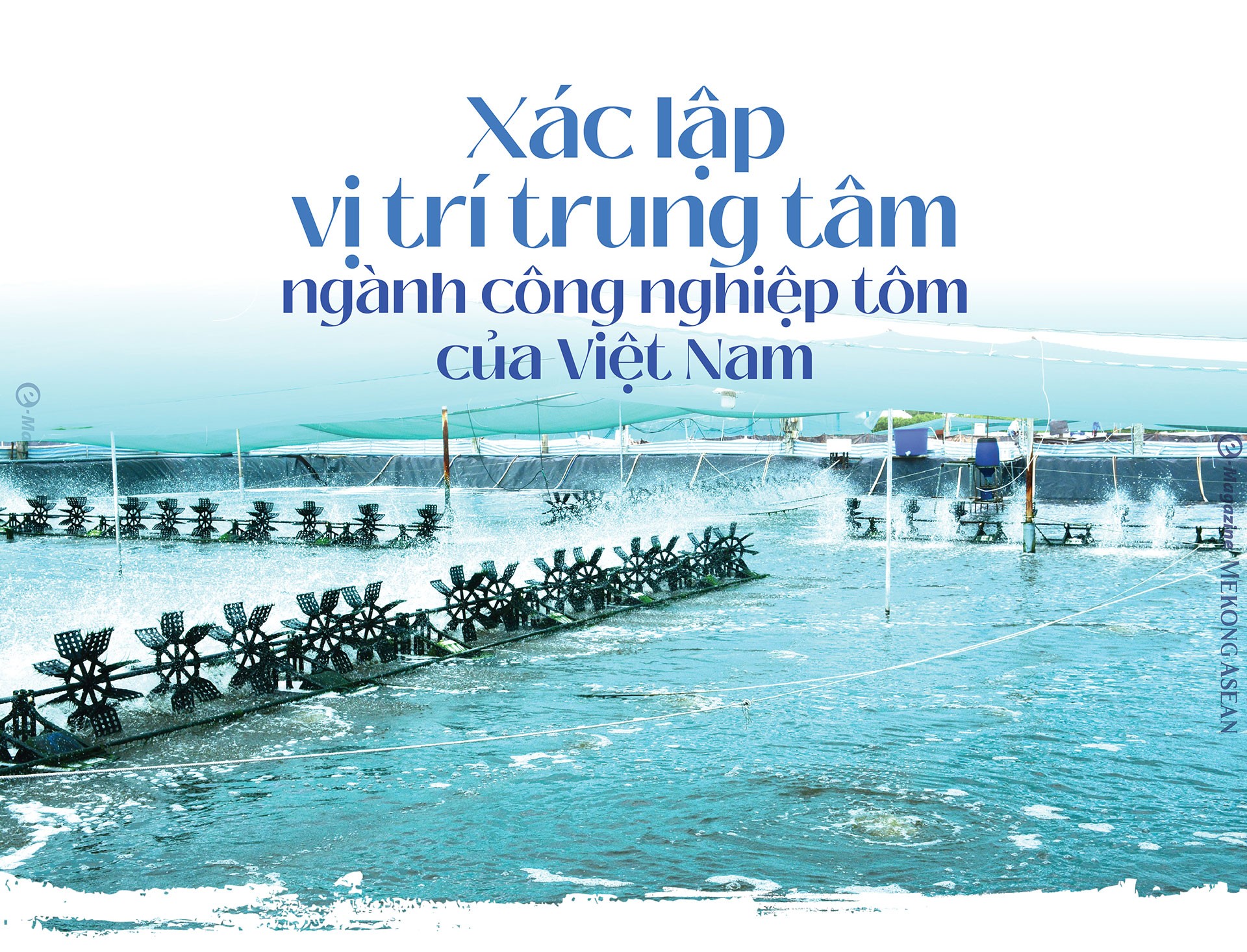 Cà Mau: Từ địa đầu Tổ quốc đến cửa ngõ ra biển lớn