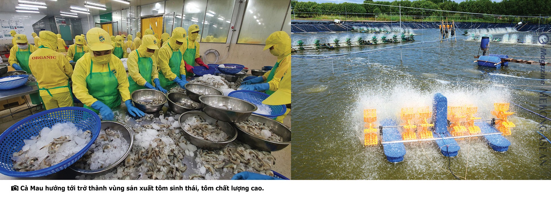 Cà Mau: Từ địa đầu Tổ quốc đến cửa ngõ ra biển lớn