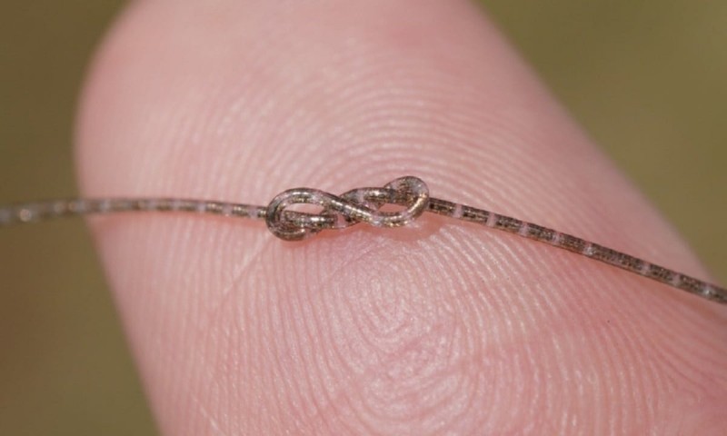 Một đoạn chip dạng sợi. Ảnh: Handout. Một đoạn chip dạng sợi. Ảnh: Handout.