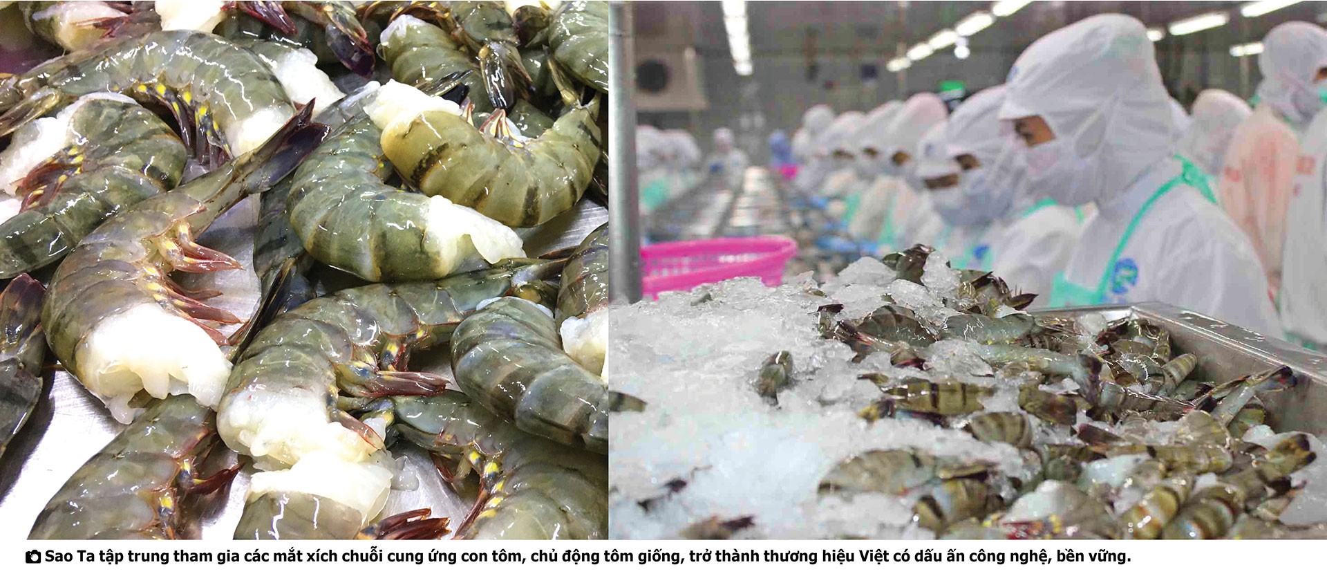 Chủ tịch Sao Ta và quan điểm về vốn liếng lớn nhất đời doanh nhân