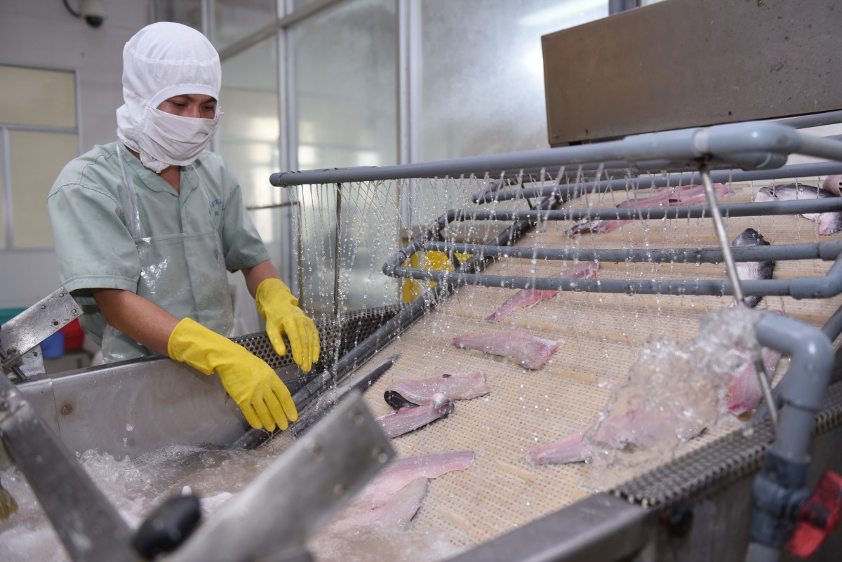 Biên lợi nhuận co hẹp, PAN giữ tăng trưởng lợi nhuận nhờ tiết giảm chi phí Biên lợi nhuận thu hẹp, PAN giữ tăng trưởng lợi nhuận nhờ tiết giảm chi phí