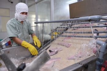 Biên lợi nhuận thu hẹp, PAN tăng trưởng lợi nhuận nhờ giảm chi phí