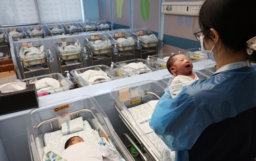 Hàn Quốc: Số trẻ sơ sinh tăng cao nhất kể từ năm 2007