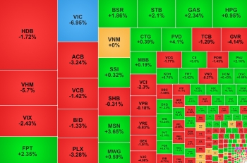 Nhóm Vingroup kéo VN-Index 'lao dốc', FPT hút vốn ngoại