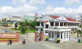 Lợi nhuận Đường Quảng Ngãi đi lùi bất chấp doanh thu đạt kỷ lục