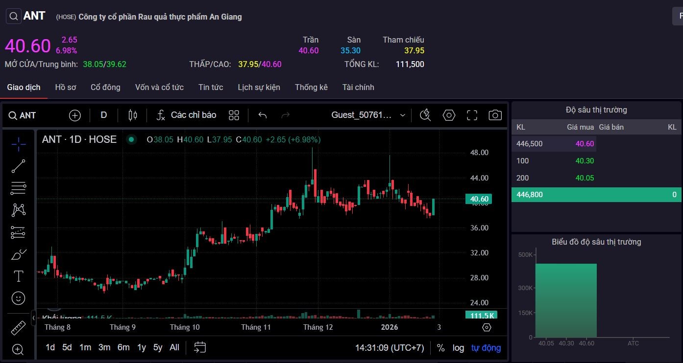 Antesco lãi quý 4 gấp 2,4 lần cùng kỳ, cổ phiếu ANT tím trần trắng bên bán