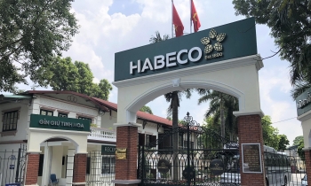Kinh doanh quý 4/2025 ảm đạm, Bia Hà Nội vẫn báo lãi năm cao đột biến