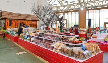 Cẩm nang du xuân xuyên Việt chỉ trong 1 ngày tại 'siêu quần thể' Hội chợ Mùa Xuân 2026