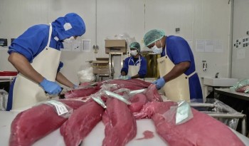 Indonesia đẩy mạnh xuất khẩu hải sản sang thị trường Hàn Quốc và Đài Loan