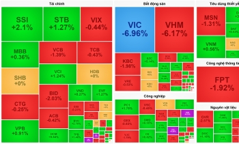 Cổ phiếu Vingroup lao dốc, VN-Index đánh mất mốc 1.800 điểm
