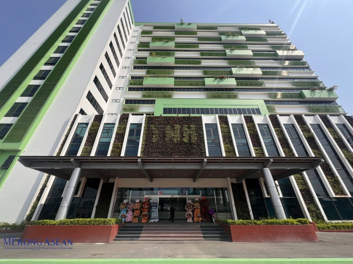 TNH báo lỗ quý thứ 5 liên tiếp