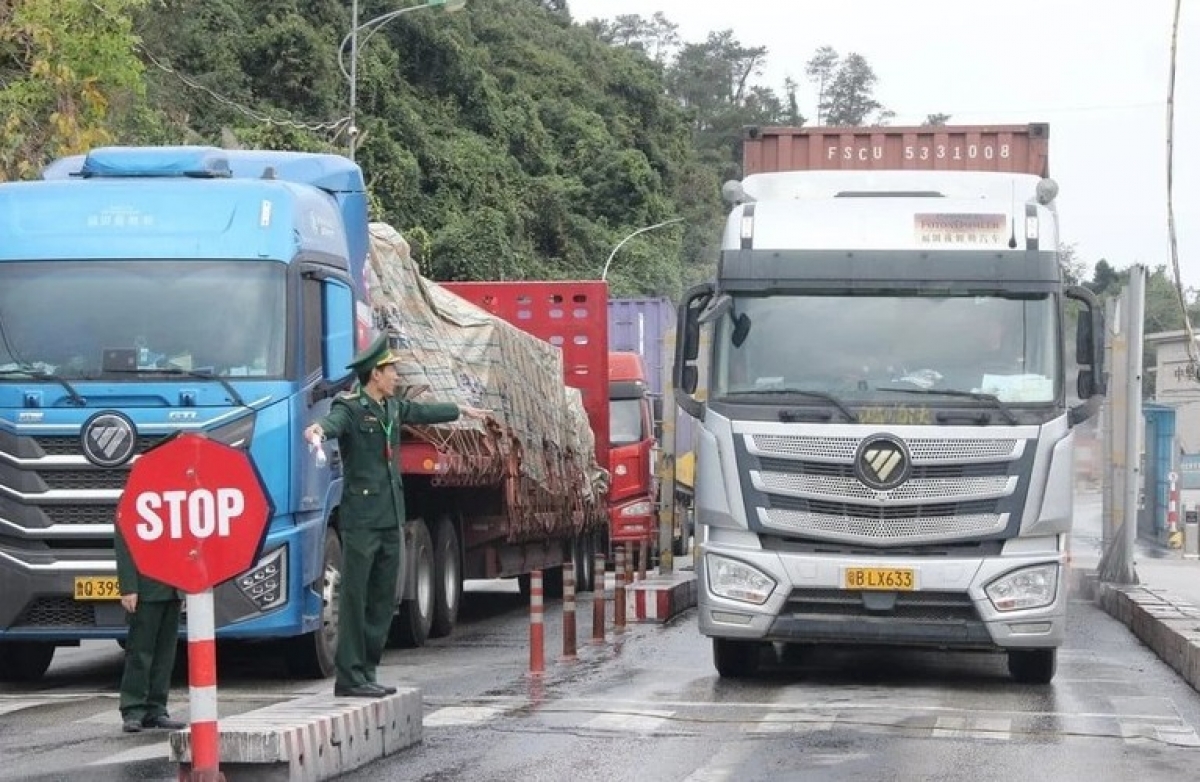 Tạm dừng Nghị định 46 về an toàn thực phẩm đến ngày 15 4插图