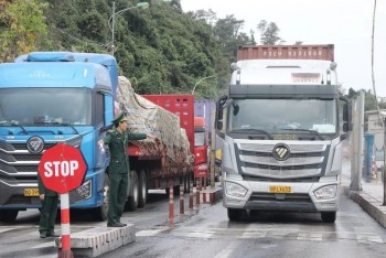 Tạm dừng Nghị định 46 về an toàn thực phẩm đến ngày 15/4
