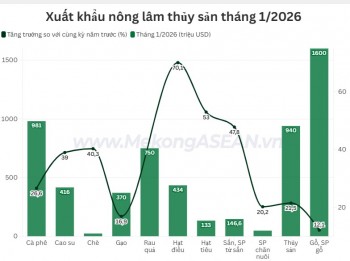 Xuất khẩu nông lâm thủy sản tháng 1/2026 tăng gần 30%