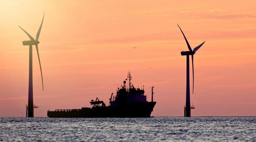 Ngành cảng biển năm 2025: Doanh nghiệp nào tăng trưởng mạnh nhất?