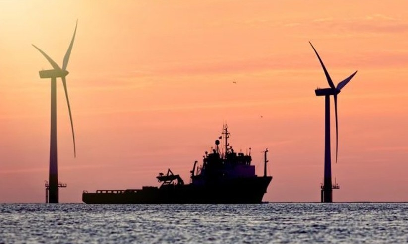 Ngành cảng biển năm 2025: Doanh nghiệp nào tăng trưởng mạnh nhất?