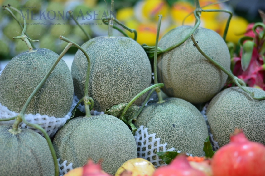 Trung Quốc yêu cầu thư xác nhận với hàng nghìn nông sản nhập khẩu