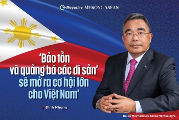 Việt Nam qua 