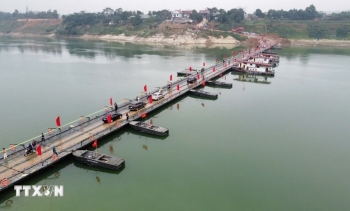 Phú Thọ: Thông xe cầu phao Đoan Hùng bắc qua sông Lô