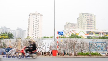 Bắc Bộ chuyển mưa rét trong ngày mùng 1 Tết Nguyên đán 2026