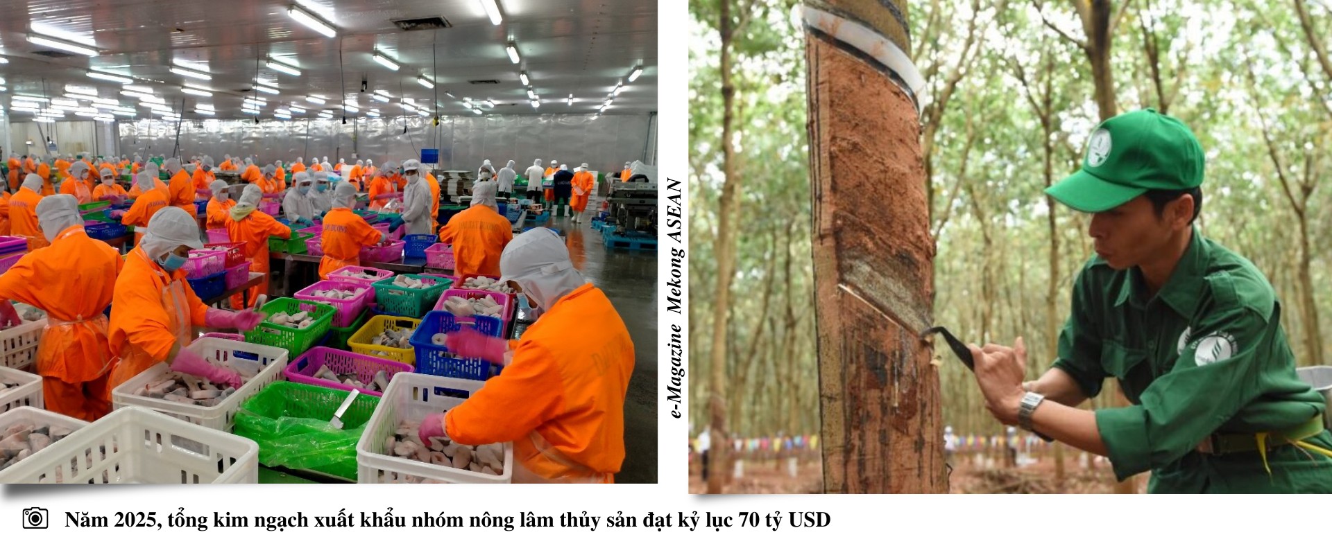 Triển vọng xuất khẩu năm 2026: Tích cực nhưng vẫn đan xen thận trọng