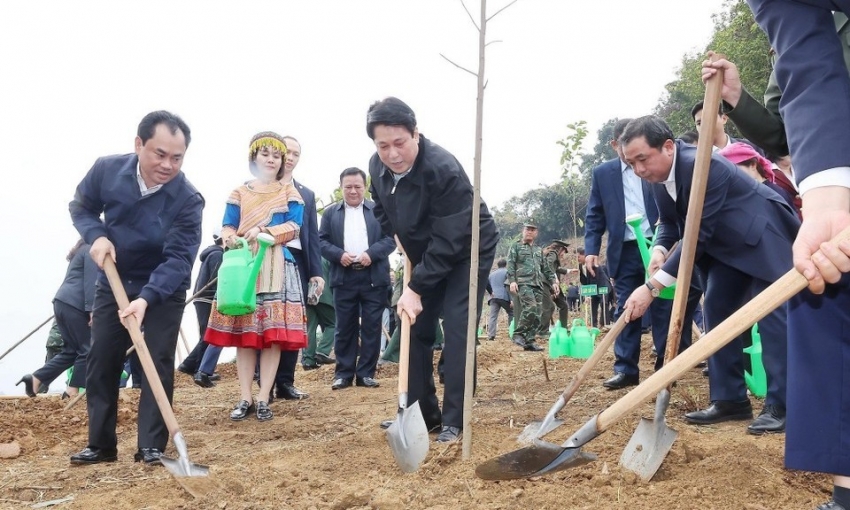 Chủ tịch nước dự lễ phát động Tết trồng cây năm 2026