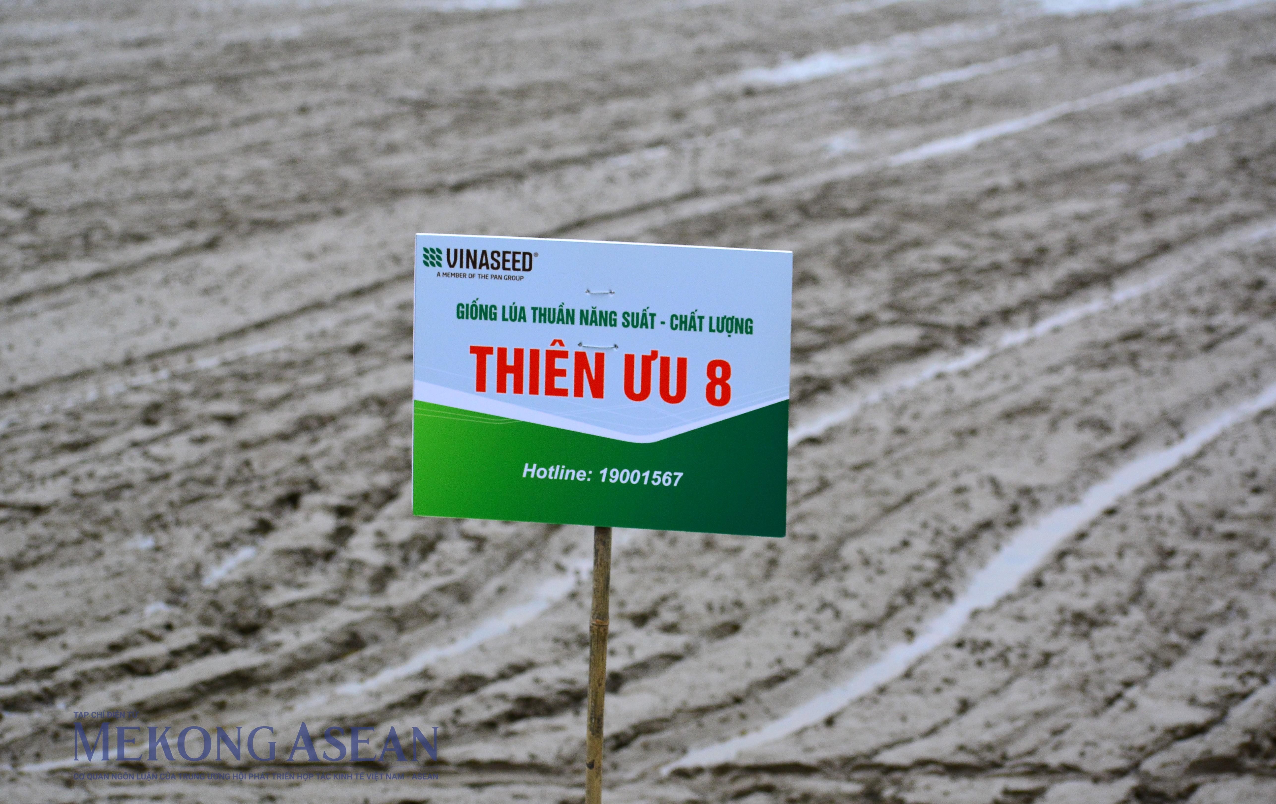 Ninh Bình: Triển khai mô hình canh tác lúa hiệu quả cao, phát thải thấp