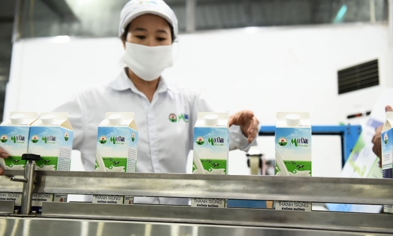 Mộc Châu Milk còn hơn 633 tỷ đồng vốn huy động chưa sử dụng